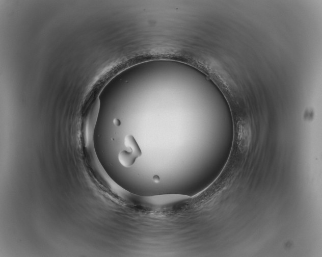 X0000097800684200803141054