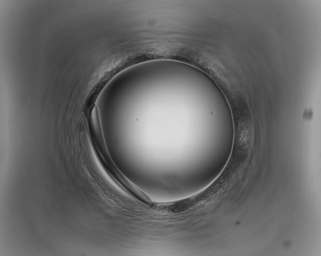 X0000097800685200803141054