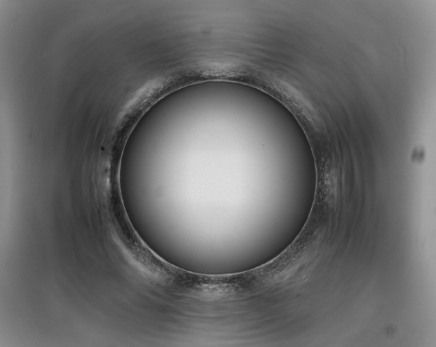 X0000097800686200803141054