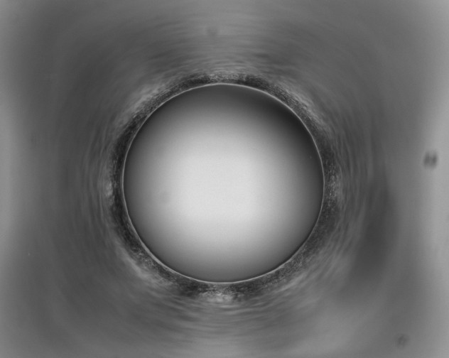 X0000097800687200803141054