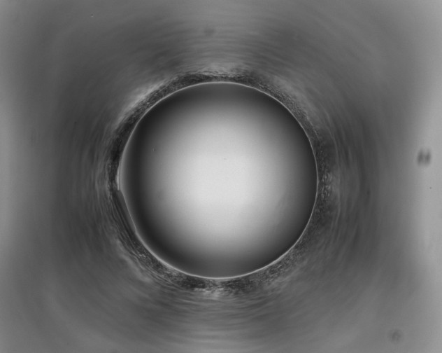 X0000097800688200803141054