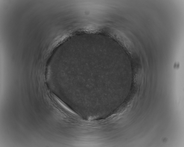 X0000097800689200803141054