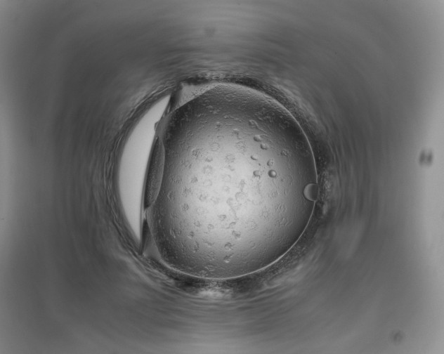 X0000097800691200803141054