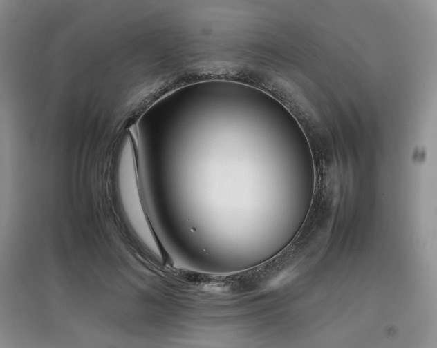 X0000097800692200803141054