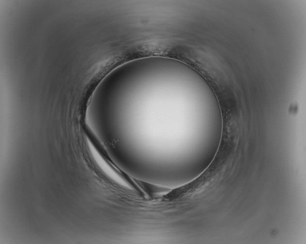 X0000097800693200803141054