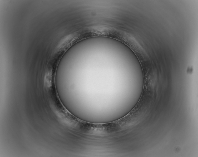 X0000097800694200803141054