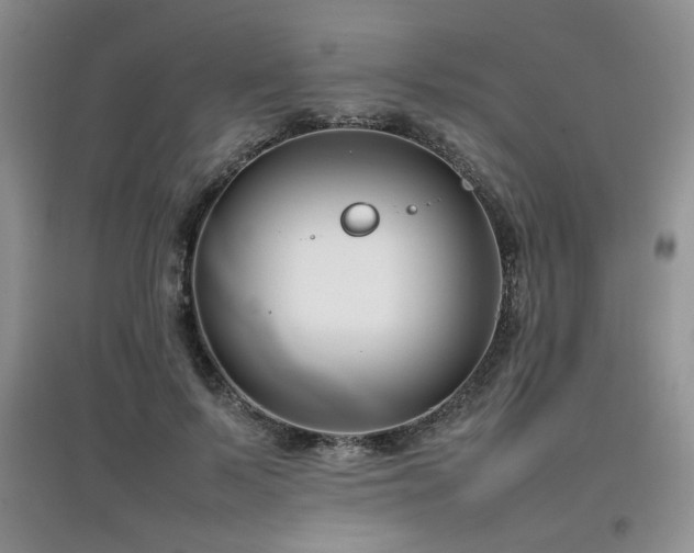 X0000097800695200803141054