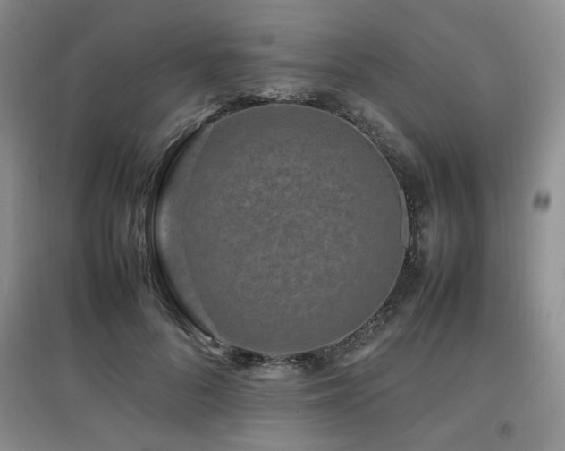 X0000097800696200803141054