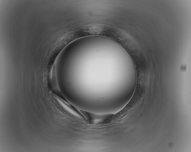 X0000097800697200803141054