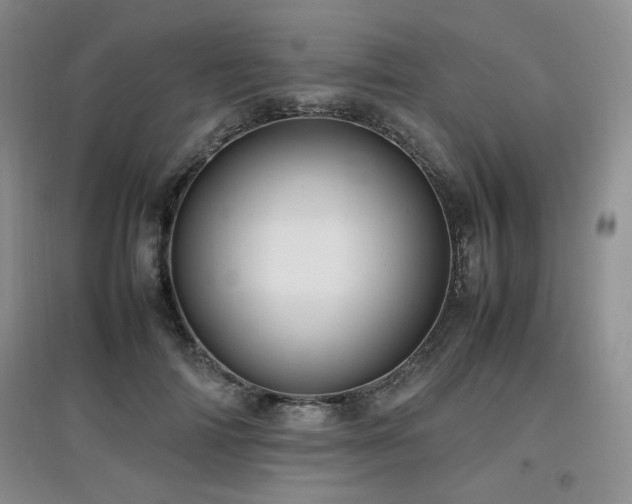 X0000097800698200803141054