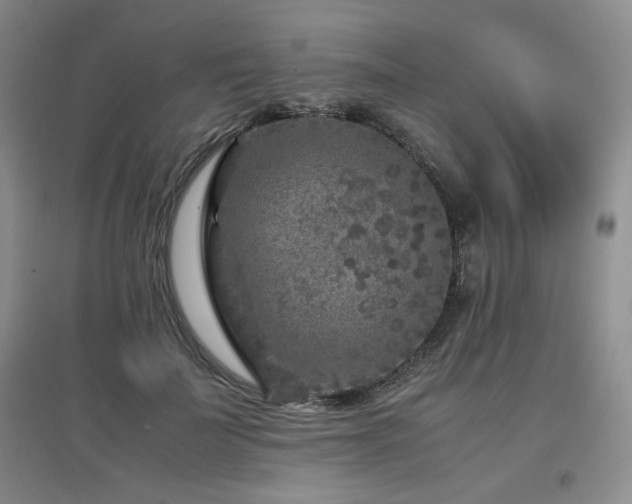 X0000097800699200803141054