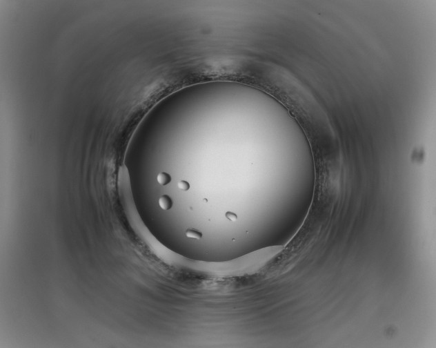 X0000097800700200803141054