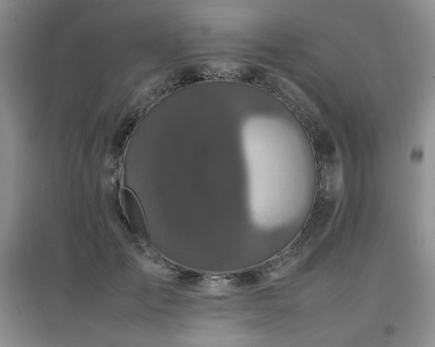 X0000097800701200803141054