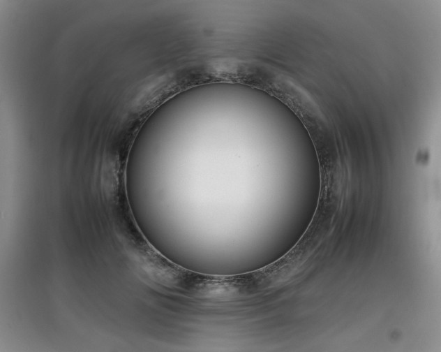 X0000097800702200803141054