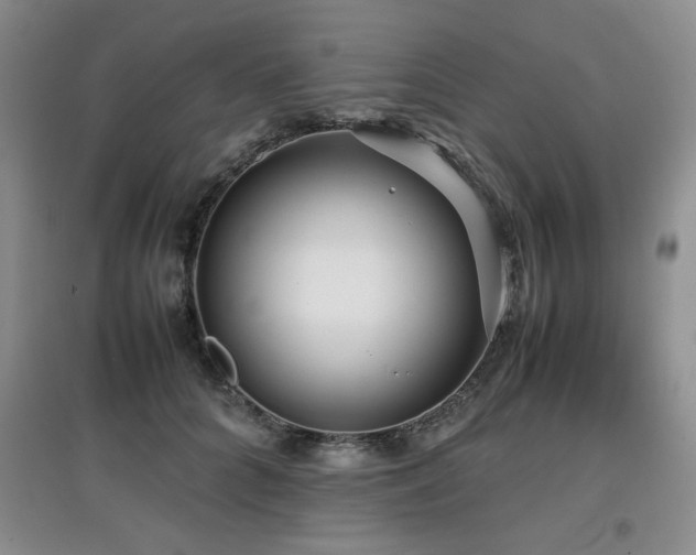 X0000097800704200803141054