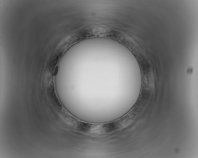 X0000097800705200803141054