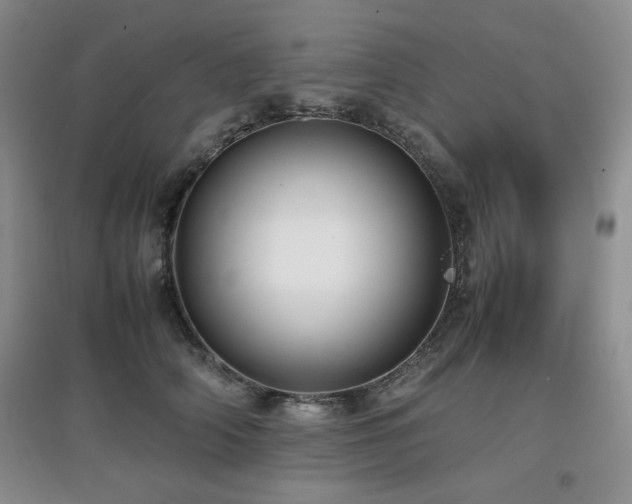 X0000097800706200803141054