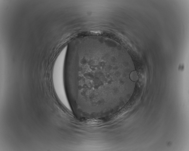 X0000097800707200803141054