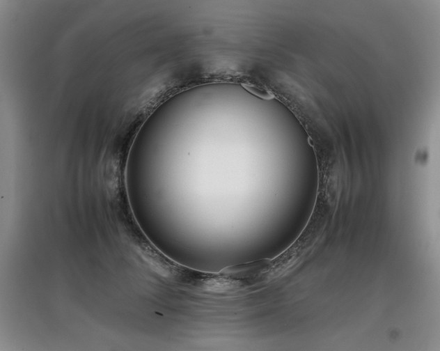 X0000097800708200803141054