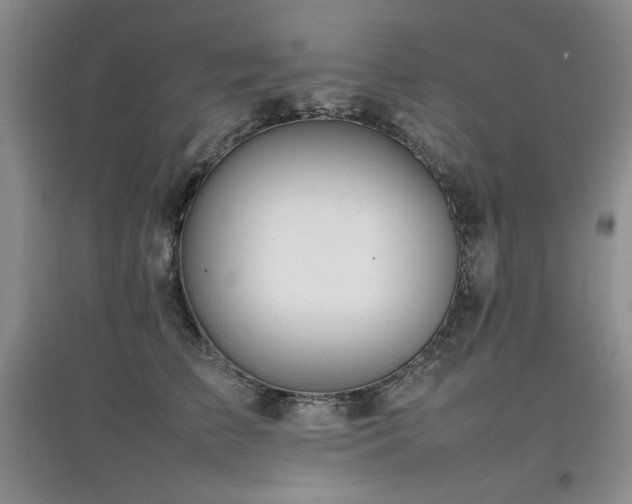 X0000097800709200803141054