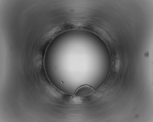 X0000097800710200803141054