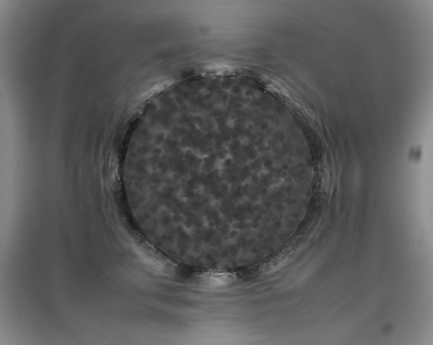 X0000097800711200803141054