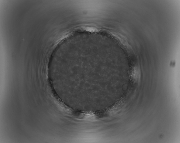 X0000097800715200803141054