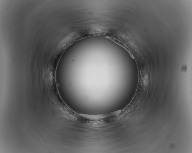 X0000097800716200803141054