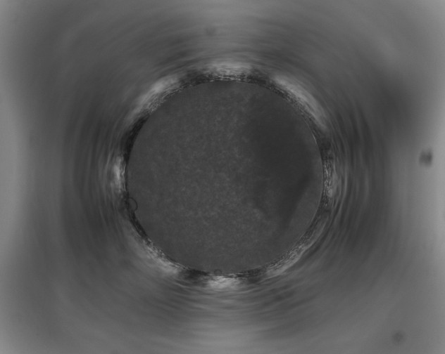 X0000097800718200803141054