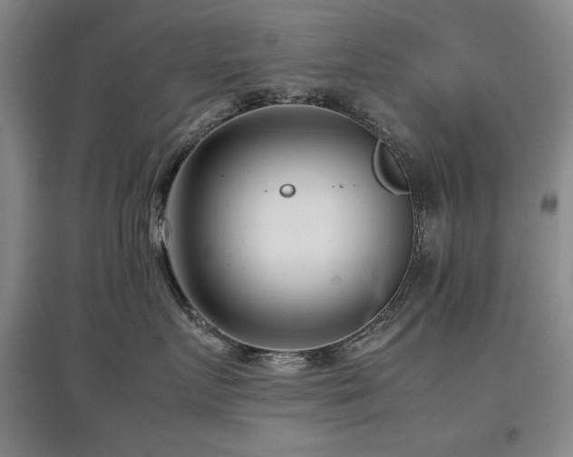 X0000097800719200803141054