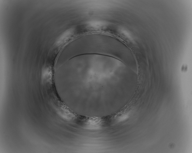 X0000097800720200803141054