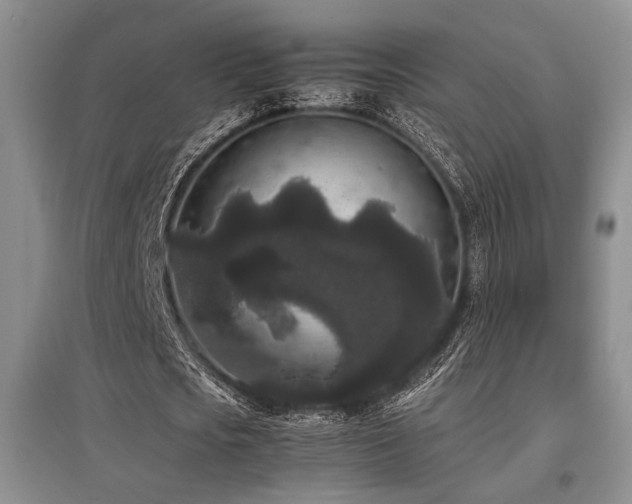 X0000097800721200803141053