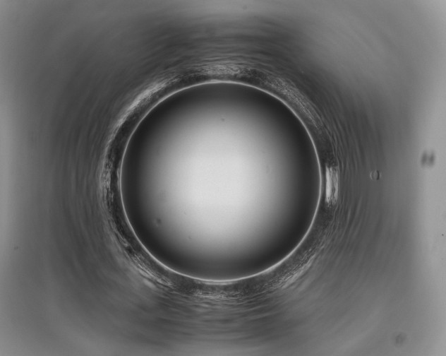 X0000097800723200803141053