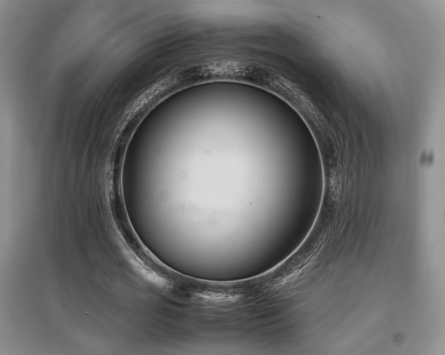 X0000097800725200803141053