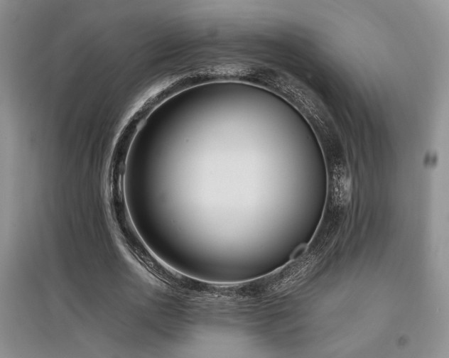 X0000097800726200803141053