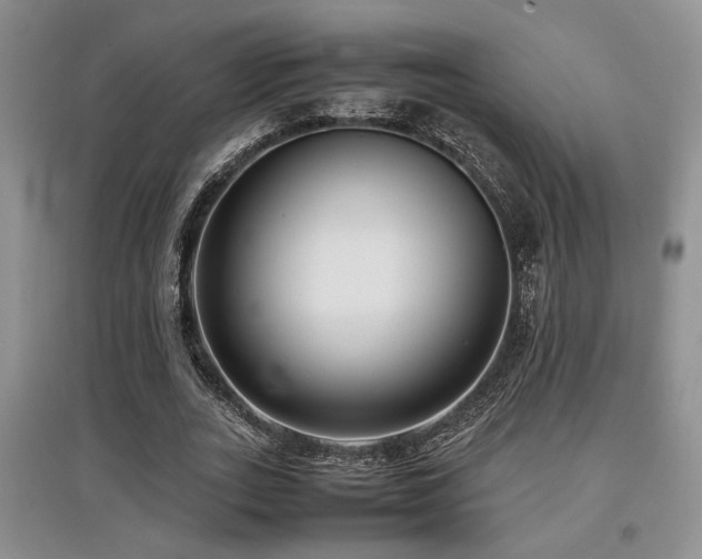 X0000097800727200803141053