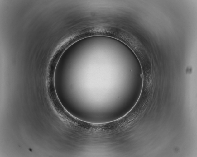 X0000097800728200803141053