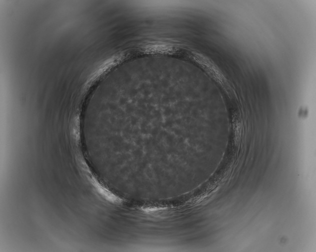 X0000097800729200803141053