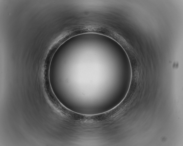 X0000097800730200803141053