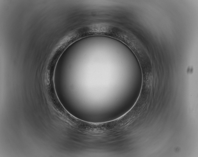 X0000097800731200803141053