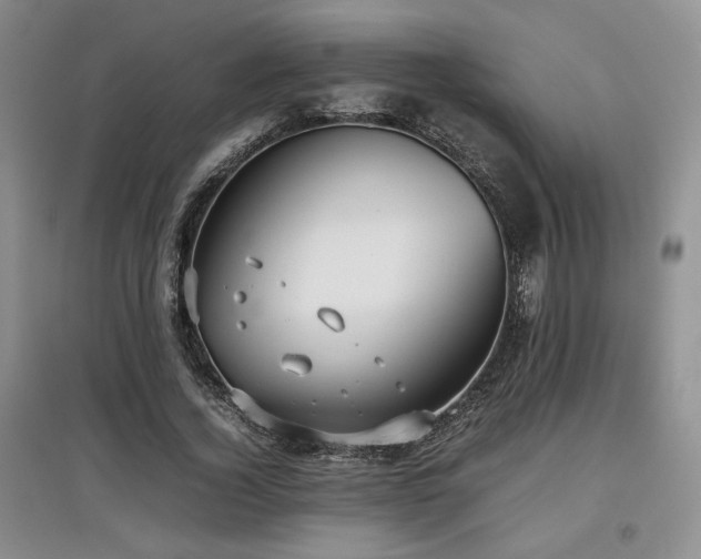 X0000097800732200803141053