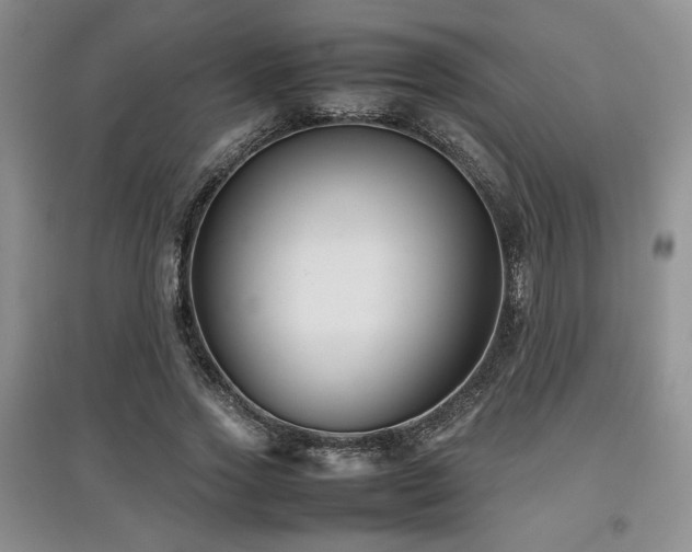 X0000097800733200803141053