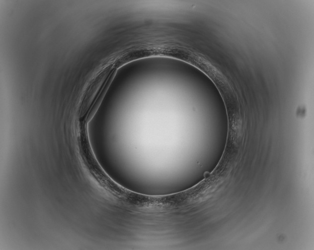 X0000097800734200803141053