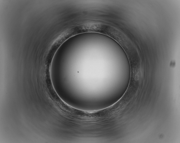 X0000097800735200803141053