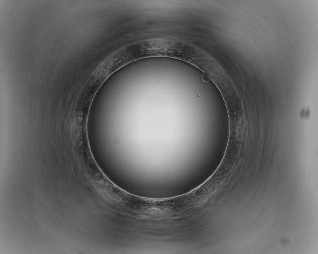 X0000097800737200803141053