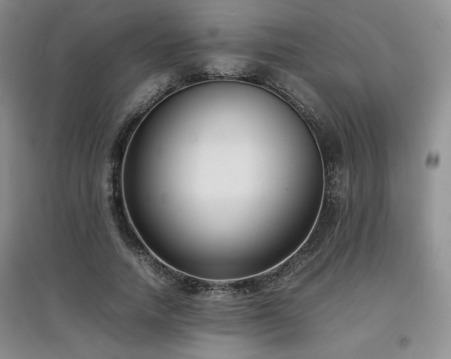 X0000097800738200803141053