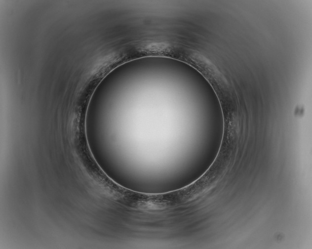 X0000097800739200803141053