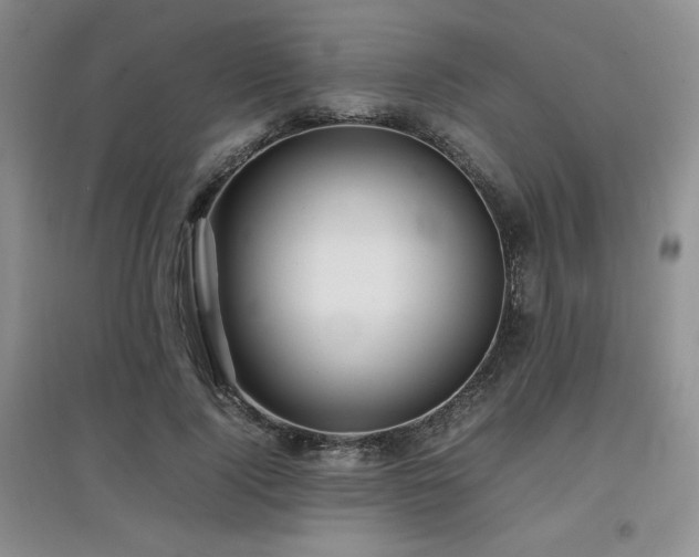 X0000097800740200803141053