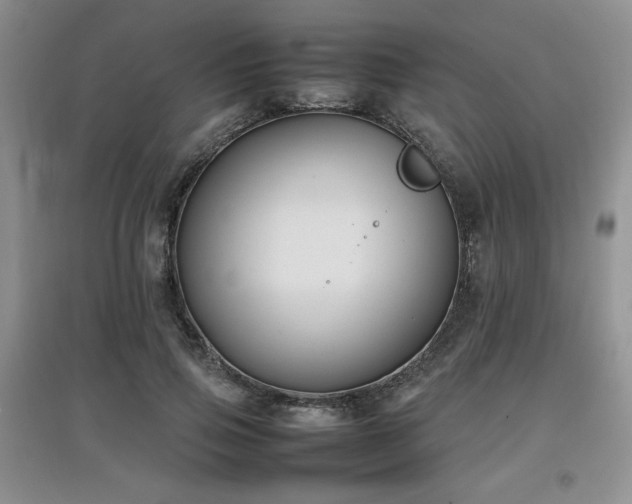 X0000097800741200803141053