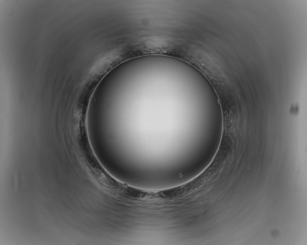 X0000097800742200803141053